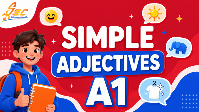 Từ vựng Simple adjectives A1: 32 tính từ đơn giản giúp người mất gốc mô tả người, vật và cảm xúc
