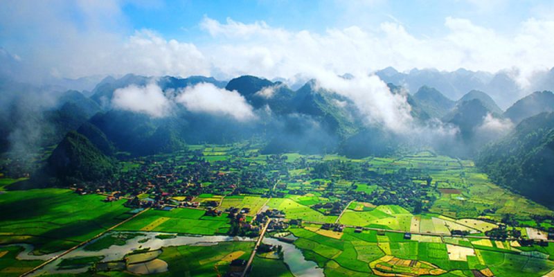 hoa binh