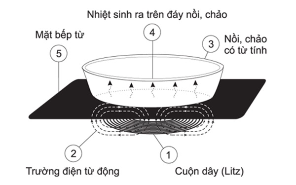 Hướng dẫn cách sử dụng bếp từ Bosch chuẩn, chi tiết nhất 2024