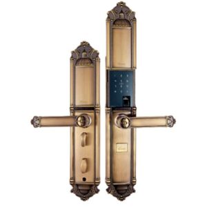 khoa-cua-dien-tu-demax-sl822-gold-9.jpg