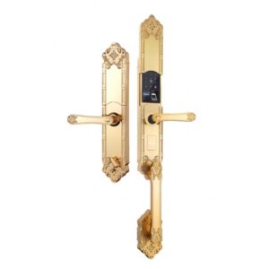 demax-sl819-gold-app-wifi