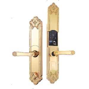 Khóa đại sảnh - biệt thự Demax SL8192 Gold