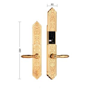 Khóa đại sảnh-biệt thự Demax SL8862 Gold