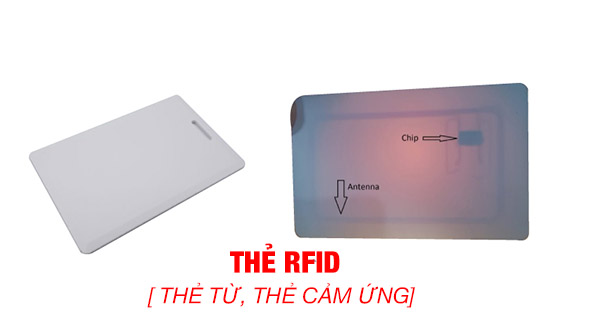 thẻ từ RFID