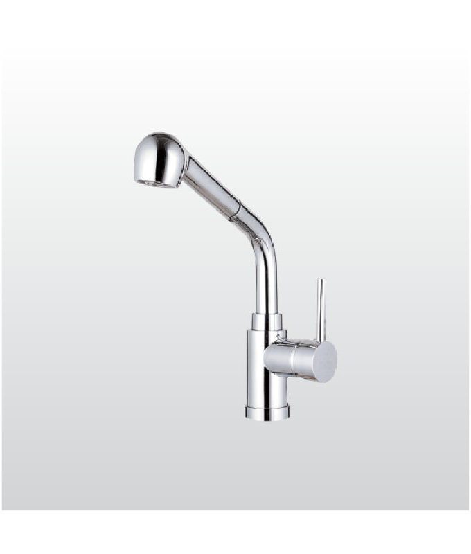 Vòi rửa bát Malloca K119N9