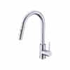 Vòi rửa bát Hafele HT21-CH1P287 577.55.230