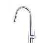 Vòi rửa bát Hafele HT21-CH1P245 577.55.220