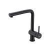 Vòi rửa bát Hafele HT21-GH1P254 577.55.390 màu đen