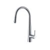 Vòi rửa bát inox Hafele HT19-CH1F250 570.51.000