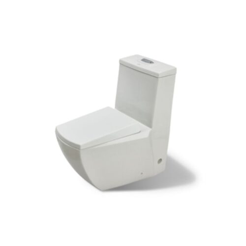 Bồn cầu Govern LO-2286