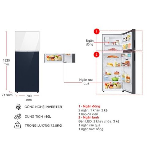 kich thuoc tu lanh 2 canh bespoke inverter 460 lit samsung rt47cb66868asv
