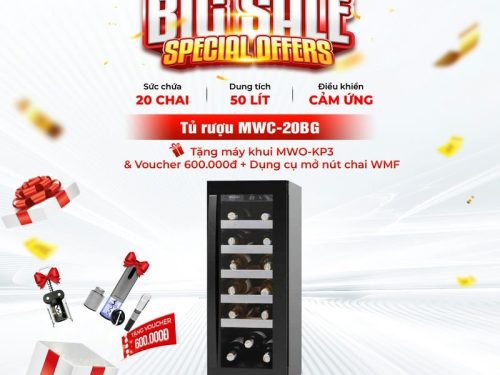 Tủ bảo quản rượu vang âm tủ/ Độc lập Malloca MWC-20BG