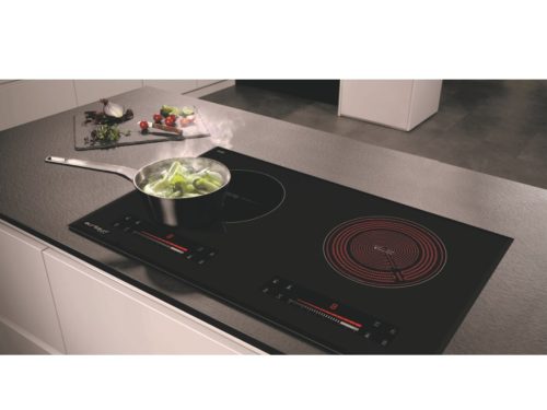 bep dien tu 2 vung nau eurosun eu te226max 2