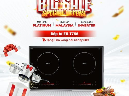 Bếp từ đôi Eurosun EU-T756 lắp âm