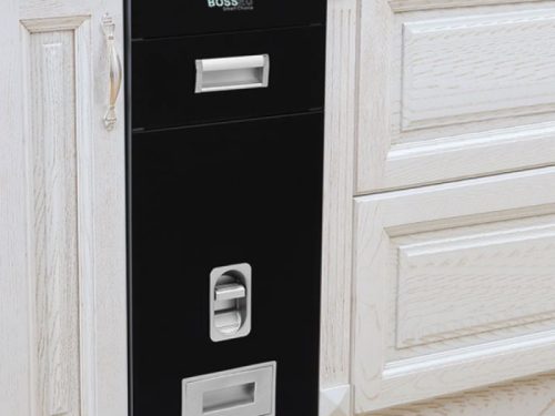 Ảnh thực tế thùng gạo gương nút nhấn BossEU BS300 Black