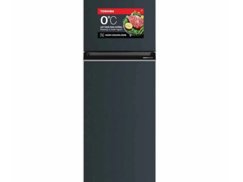 Tủ Lạnh 2 cánh Inverter 253 Lít Toshiba GR-RT329WE-PMV(52)