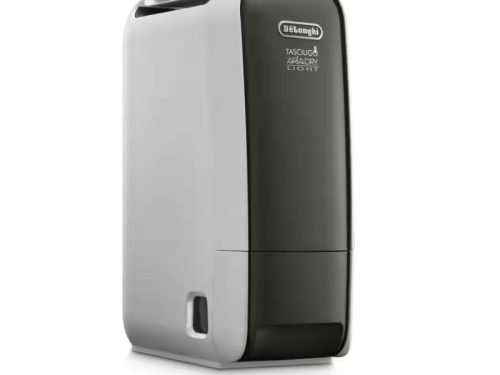 Máy hút ẩm Delonghi DNS65
