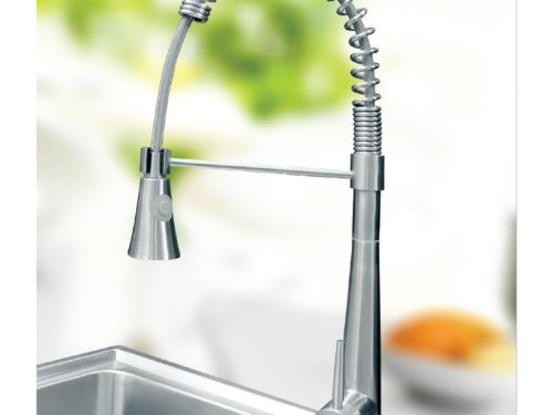 anh voi rua giovani gf 306 ds