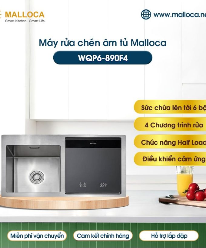 Máy rửa bát âm tủ Malloca WQP6-890F4