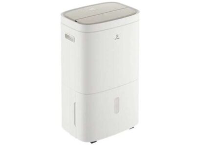 Máy Hút Ẩm Electrolux EDH10TRBW1