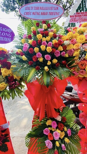 Chào đón Ban lãnh đạo Malloca tới thăm và làm việc tại Thế Giới Bếp Nhập Khẩu