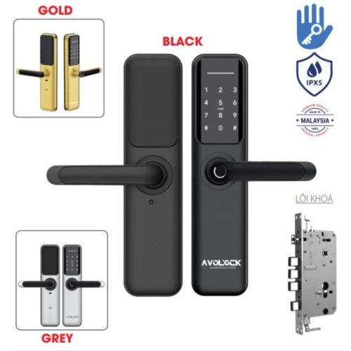 Khóa cửa vân tay Avolock AV-63-Gold 3 Ảnh khóa cửa vân tay Avolock AV-63-Gold