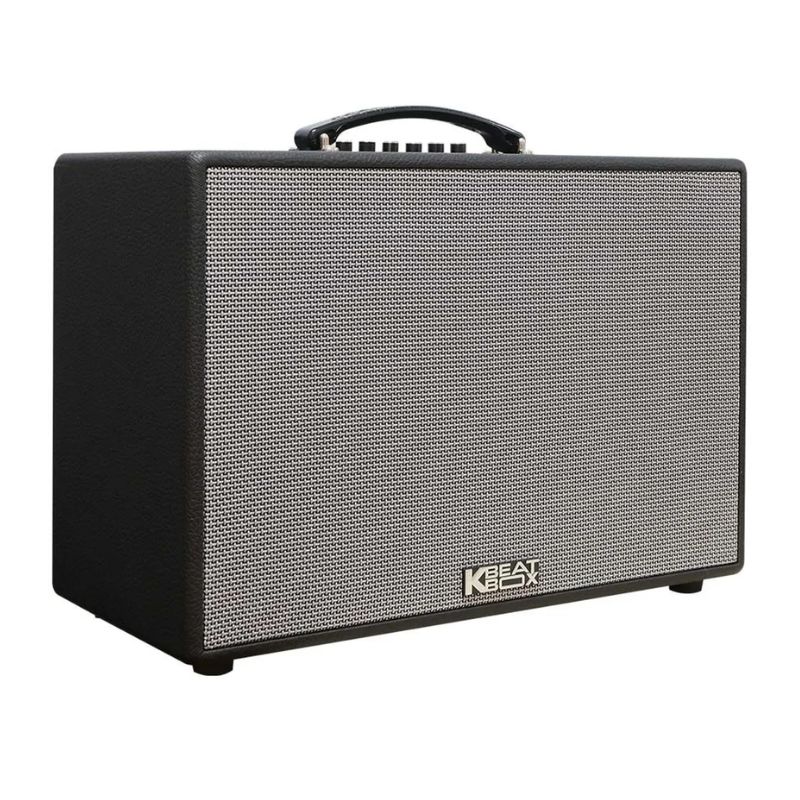 anh-loa-karaoke-xach-tay-acnos-cs250puw-300w Loa Karaoke Xách Tay Acnos CS250PUW 300W