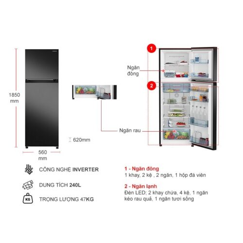 Tủ Lạnh 2 cánh Inverter 240 Lít Hitachi HRTN5255MFUVN 4 Kích thước tủ Lạnh 2 cánh Inverter 240 Lít Hitachi HRTN5255MFUVN