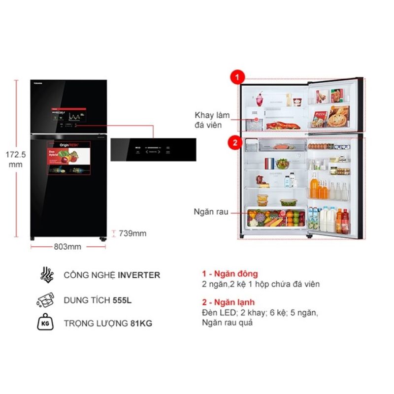 Kích thước tủ Lạnh 2 cánh Inverter 555 Lít Toshiba GR-AG58VA (XK) Kích thước tủ Lạnh 2 cánh Inverter 555 Lít Toshiba GR-AG58VA (XK)