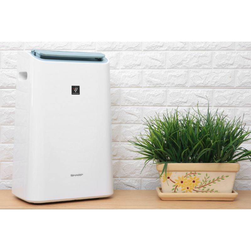 Ảnh máy lọc không khí và hút ẩm Sharp DW-E16FA-W Ảnh máy lọc không khí và hút ẩm Sharp DW-E16FA-W