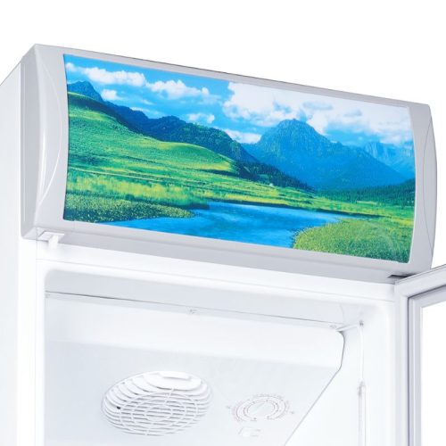 Tủ mát Sanaky VH258KL 4 Ảnh Tủ mát Sanaky VH258KL