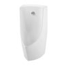 Bồn tiểu nam treo tường tự động SEINE Hafele 588.79.422 1 Bồn tiểu nam treo tường tự động SEINE Hafele 588.79.422