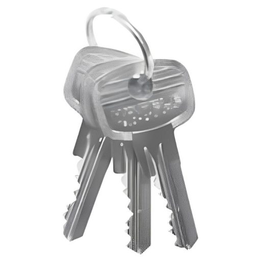 Chìa chủ hệ EM Hafele 916.66.553
