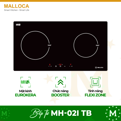 Bếp từ Malloca MH-02I TB