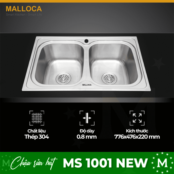ms 1001 new optimized
