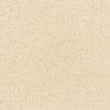 Đá nhân tạo Vicostone Sahara BS340