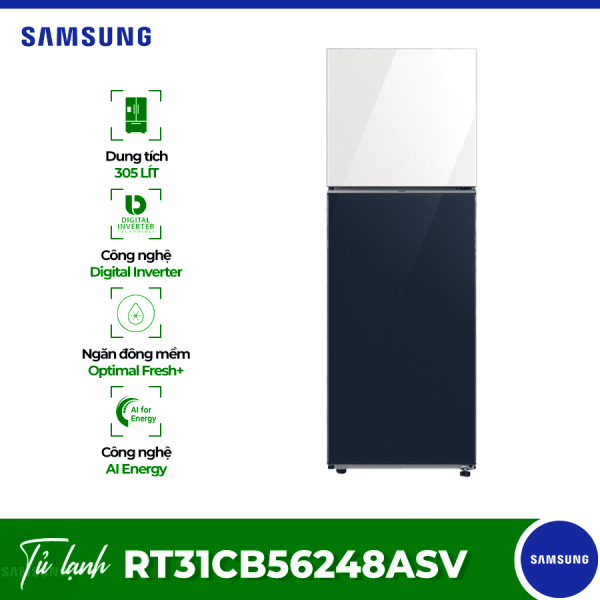 rt31cb56248asv optimized