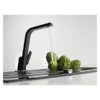 Vòi rửa Teka Sink faucet IC 915 Black 1 Vòi rửa Teka Sink faucet IC 915 Black