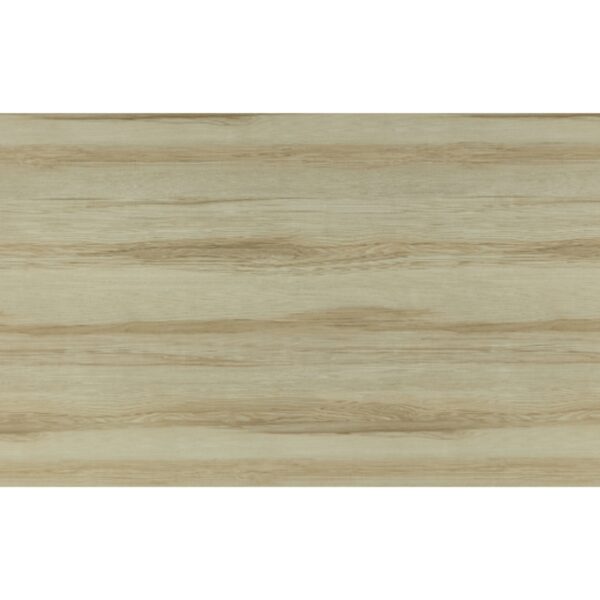 tam-ecoveneer-evs-4420.jpg tam ecoveneer evs 4420 e1748338336366