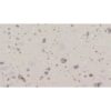 tam fomica laminate lf 8812 ck
