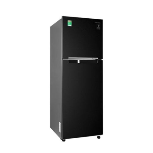 Tủ lạnh Samsung Inverter 236 lít RT22M4032BU/SV 4 hinh anh tu lanh samsung rt22m4032bu sv