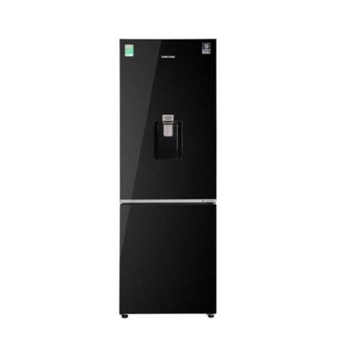 Tủ lạnh Samsung Inverter 307 lít RB30N4190BU/SV