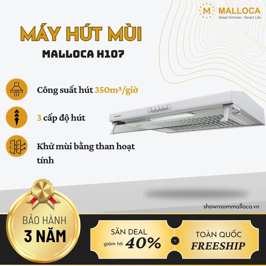 Máy hút mùi cổ điển 70cm Malloca H107 (Thân Inox)