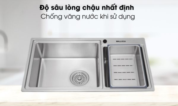 MS 8801 độ sâu lớn