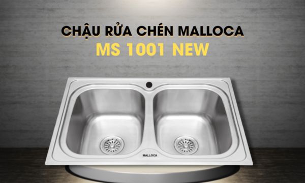 MS 1001 New chậu rửa chén 2 hố