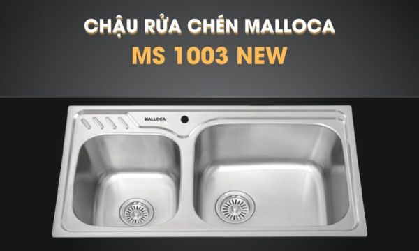 MS 1003 New chậu rửa chén 2 hố