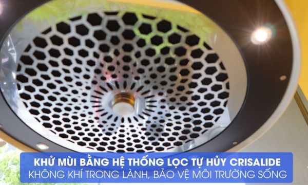 Sophie K-500W hệ lưới học crisalide