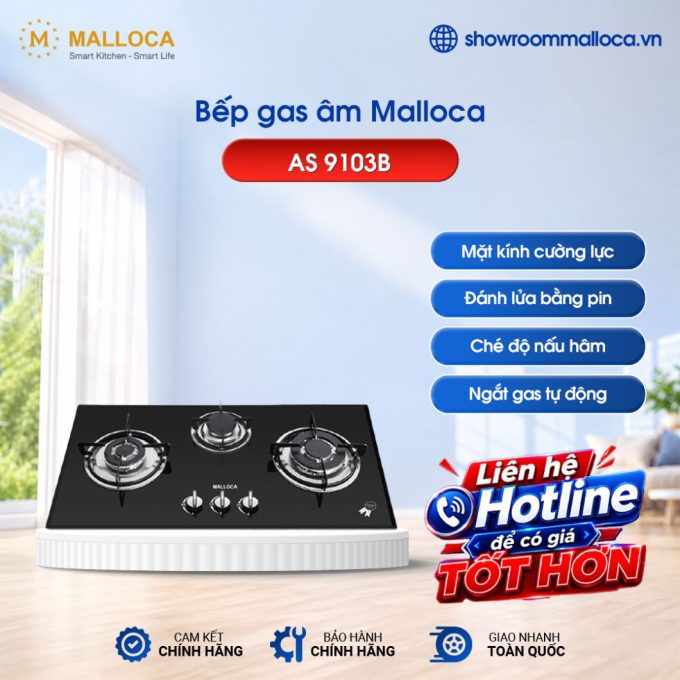 Bếp gas Malloca AS 9103B