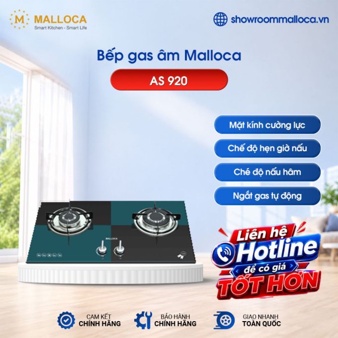 Bếp gas Malloca AS 920