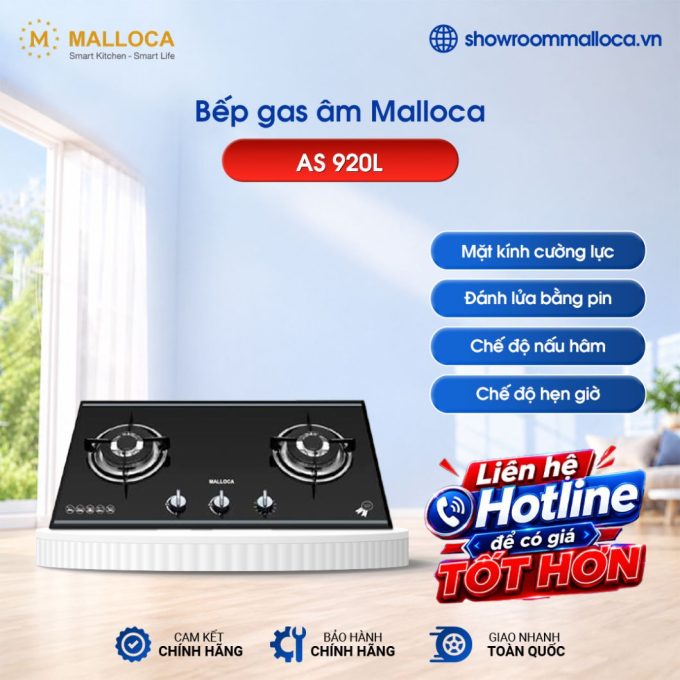 Bếp gas Malloca AS 920L